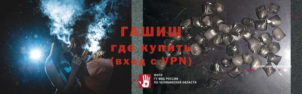 мдпв Бородино