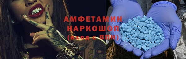 мдпв Бородино
