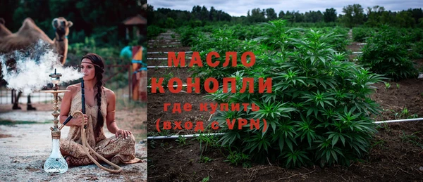 мдпв Бородино