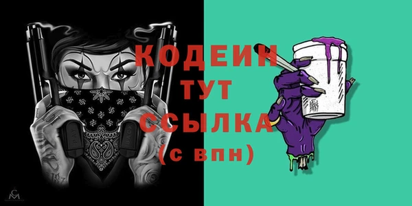 мдпв Бородино