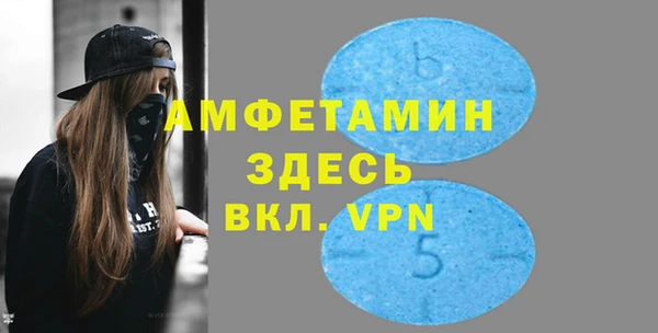 мдпв Бородино