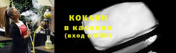 мдпв Бородино
