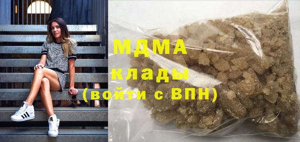 мдпв Бородино