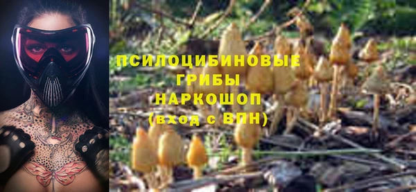 мдпв Бородино