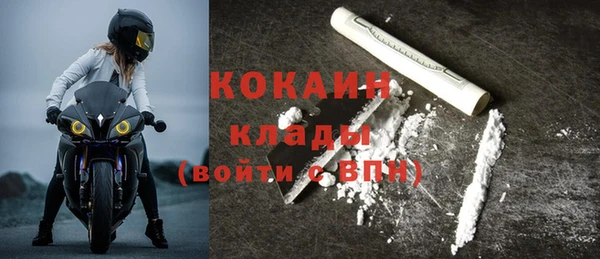 мдпв Бородино