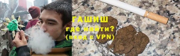 мдпв Бородино