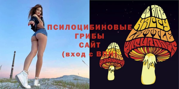 мдпв Бородино