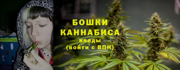 твердый Бугульма