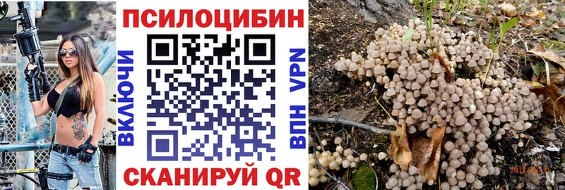 Купить где  Нея  Галлюциногенные грибы прущие грибы 