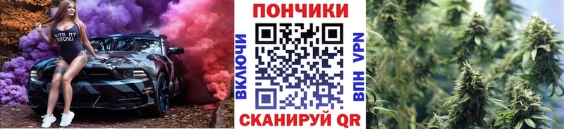 Каннабис семена  Купить где  Нея 